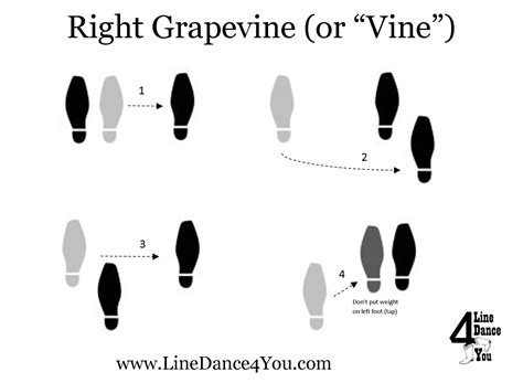 grapevine dance definition: In the intricate web of human interaction, how does the grapevine dance play its role?